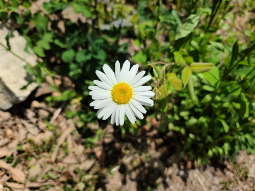 a2bc9e35e8c89308682d08486f093ab9_1685428822_0438.jpg