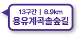 13구간