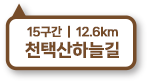 15구간